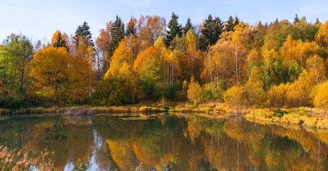 Yellow-green colors of the autumn forest and their reflection on the smooth water of the lake in panorama format