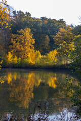 Morgenstimmung am See