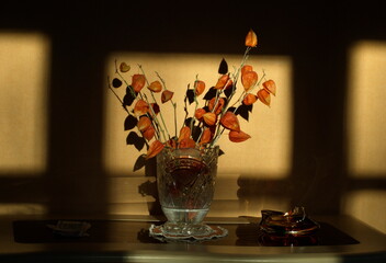 Vase with dry physalis in the sunlight falling from the window.