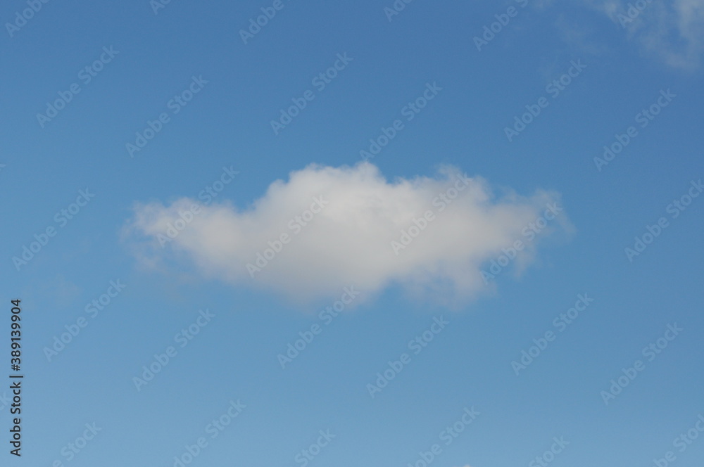 Canvas Prints a light cloud in the blue spring sky.