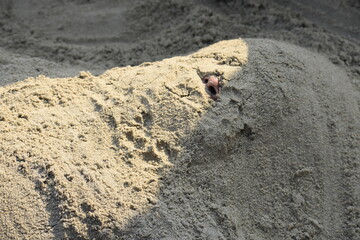 Funny boy hiding in the sand of the beach