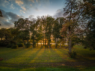 trees and grassland in a park with sunset in background and sunbeams in foreground