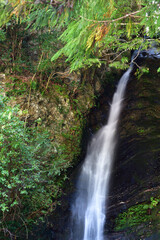 祖谷の琵琶の滝