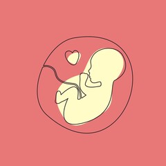 Silhouette of a baby in a female womb