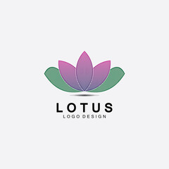 Vector lotus flowers design for spa, yoga class, hotel and resort