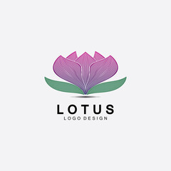 Vector lotus flowers design for spa, yoga class, hotel and resort