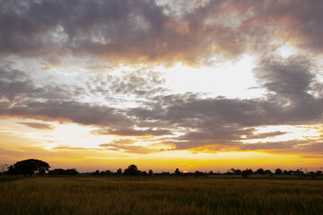 Naklejka premium Colorful clouds and blue sky with the sunset for nature textured background