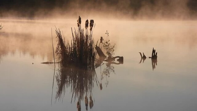 Morgenstimmung im Naturschutzgebiet Th&uuml;rer Wiesen in der Eifel
