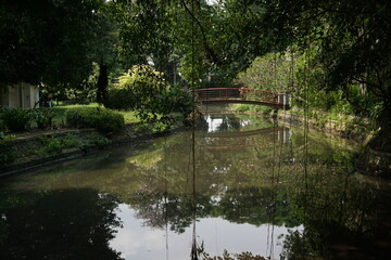 Japanese garden in the park