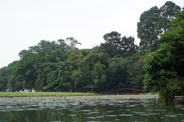 Lake in the park