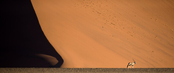 Oryx in front of the large red sand dunes of Sossusvlei, Namibia.