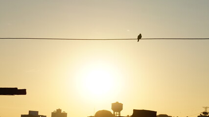 sunset over the city
