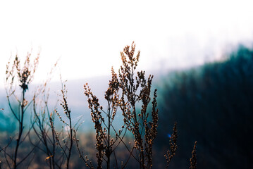 River banks in the spring in a midland of Russia.