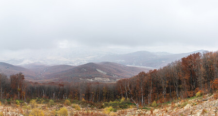 View of the autumn forest from the top of mountain