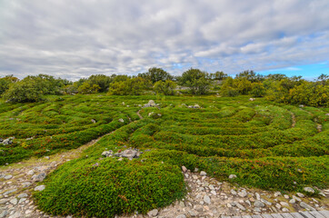 Fototapeta na wymiar An ancient stone labyrinth on Big Zayatsky Island.