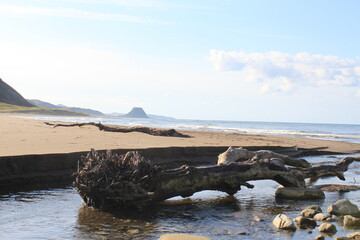 autumn nature of the island of Sakhalin