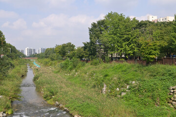 Fototapeta na wymiar 韓国の新都市：果川（グワチョン・Gwacheon）の街並み