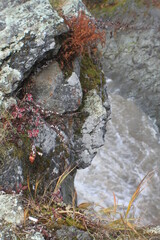 autumn nature of the island of Sakhalin