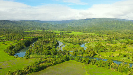 Tropical landscape with farmland and green hills, aerial drone. Philippines, Mindanao