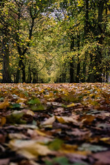 entre el otoño y el verano.!