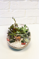 Florarium - composition of succulents, stone, sand and glass, element of interior, home decor,christmas deror, new year present