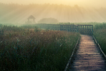lookout towers of the Polesie national park on a foggy morning on the nature path of Chahary - obrazy, fototapety, plakaty