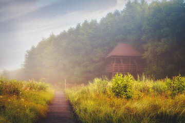 lookout towers of the Polesie national park on a foggy morning on the nature path of Chahary - obrazy, fototapety, plakaty