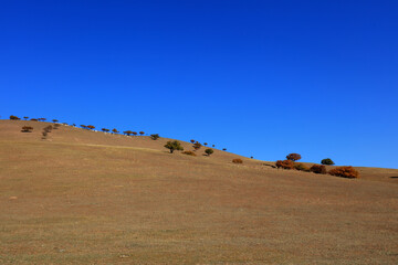 Fototapeta na wymiar Natural scenery of Qingshan Park in Keshiketeng World Geopark, Inner Mongolia