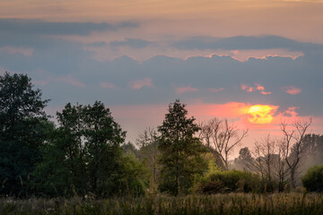 Fototapeta na wymiar sunset over the autumn meadow and trees