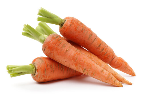 Fresh carrot on a white background
