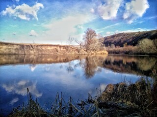 reflection of trees in water
