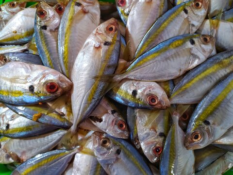 fresh selar kuning fish at traditional fresh market