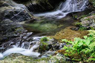 Fototapeta premium 払沢の滝（日本の滝百選）遊歩道（東京都檜原村）