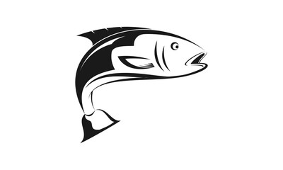 Fish illustration vector