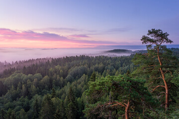 Scenic foggy landscape with mood forest at summer morning at National park, Finland. High angle aerial view.