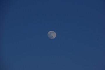 Obraz premium moon