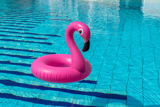 Flamingo isolated. Pink inflatable flamingo in pool water for summer beach background. Pool float party.