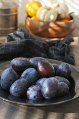Fresh blue plums in black plate and mini pumpkins