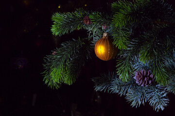 Christmas tree toy on a Christmas tree branch close up