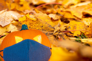 Halloween pumpkin,black medical mask on the background of yellow maple leaves outdoors