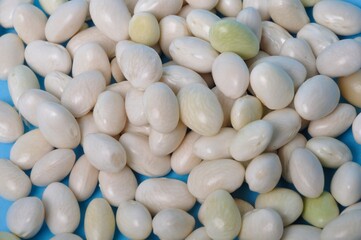 Coco paimpolais bean on a blue background