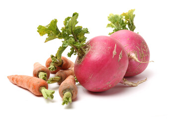 Fresh radish and carrot isolated on white background