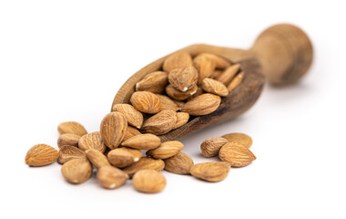 Portion of Apricot Kernels isolated on white (close up shot)