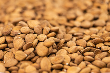 Apricot Kernels for use background or as texture