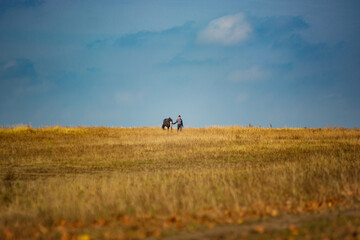 A man walks next to a horse in a field © dizfoto1973