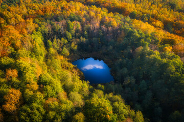 Aerial view of a small pond surrounded by autumnal forest - obrazy, fototapety, plakaty