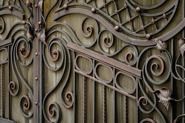 Beautiful decorative elements of metal gates, modern forged elements