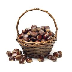 hazelnuts in basket