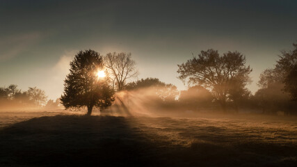 Golden hour in the country with fog and sunset