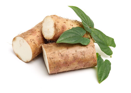 Chinese yam on white background 